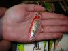 DSC06561.jpg