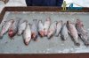 DSC_0048.jpg