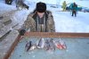 DSC_0049.jpg
