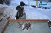 DSC_0053.jpg