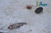 DSC_0015.jpg