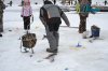 DSC_0044.jpg