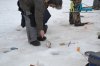 DSC_0052.jpg