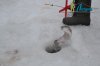 DSC_0055.jpg