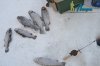 DSC_0116.jpg