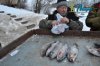 DSC_0178.jpg