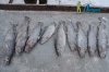 DSC_0195.jpg