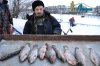 DSC_0232.jpg