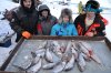DSC_0234.jpg