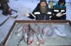 DSC_0239.jpg