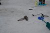 DSC_0010.jpg