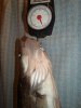 DSC00548.JPG