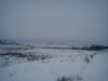 DSC00262.jpg