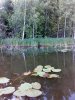 IMG_20160625_182848.jpg