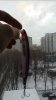Screenshots_2017-02-15-08-19-05.jpg