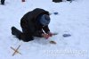 www.rusfishing.ru Рыбалка с Русфишинг Чемпионат по Ловле Форели 2-й тур 2017 - 1263.jpg