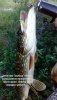 IMG_20170207_001605-768x1340.jpg