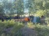 DSC00033-1.JPG