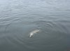 DSC03735.jpg
