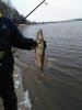 IMG-20170223-WA0007.jpg