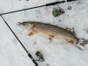 IMG-20170223-WA0004.jpg
