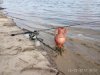 IMG_20170225_104305.jpg