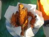 2012-03-28 15.58.12.jpg