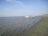 IMG_2329.jpg