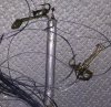 IMG_20170308_222155.jpg