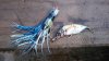 20170301_095948.jpg