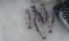 20170313_175127.jpg