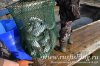www.rusfishing.ru Рыбалка с Русфишинг Чемпионат по Ловле Форели 4-й тур 2017 - 1329.jpg