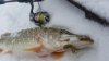 20170123_094223.jpg