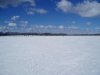 P1010003.jpg