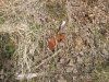 CAM00379-min.jpg