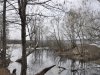 _SSC0056.JPG