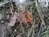 IMG_20170421_154519.jpg