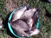 IMG_20170503_114345.jpg