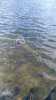 IMG_20170504_135740.jpg