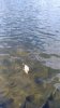 IMG_20170504_135953.jpg