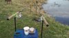 IMG_2017-05-01_070436.jpg