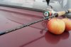SAM_0779+.jpg