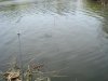 tmp_3636-DSC04537-77789357.jpg