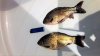 20170506_104753.jpg