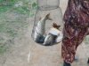 DSCN6088.JPG