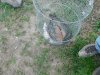 DSCN6091.JPG