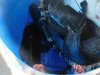 DSCN6110.JPG