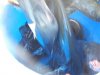 DSCN6119.JPG