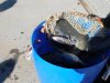 DSCN6194.JPG