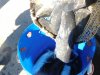 DSCN6200.JPG